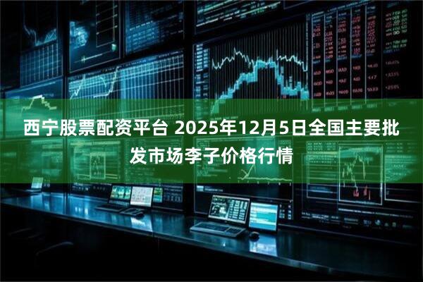 西宁股票配资平台 2025年12月5日全国主要批发市场李子价格行情